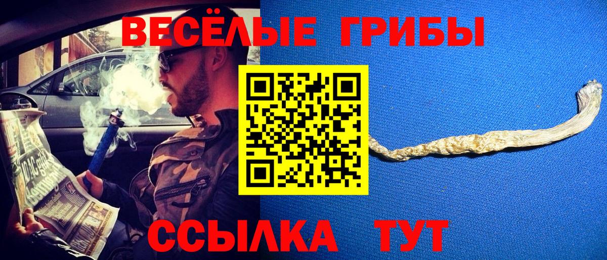 Псилоцибиновые грибы Psilocybine cubensis  Галлюциногенные грибы Psilocybe  Казань  Вход с VPN 